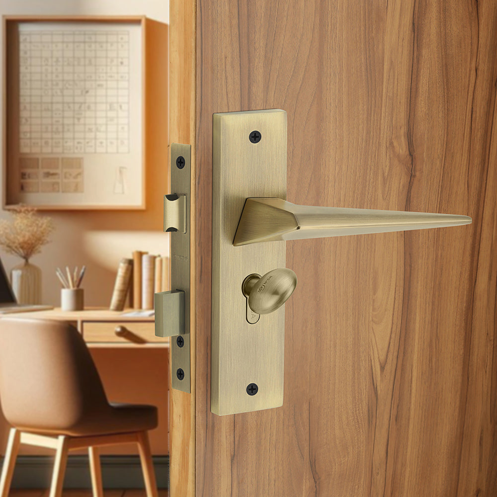 IPSA Carrot Iris Handle Series on 8" Plate CYS Lockset with 60mm Coin and Knob - MAB Finish